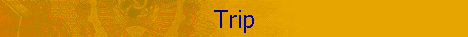 Trip