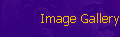 Image Gallery