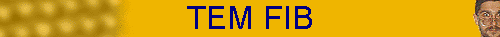 TEM FIB