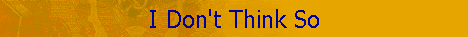 I Don't Think So
