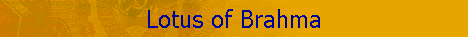 Lotus of Brahma