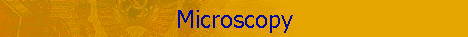 Microscopy